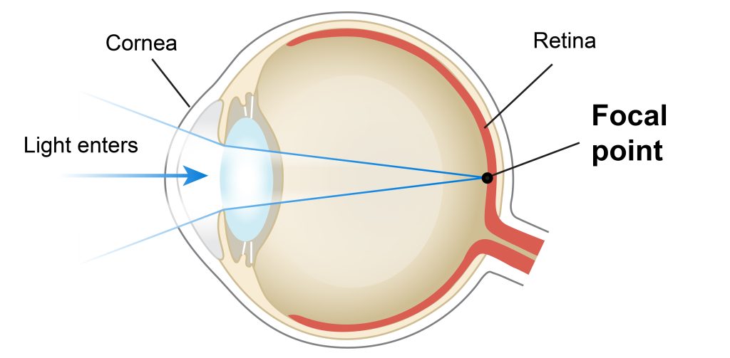 Diagram of human eye anatomy.